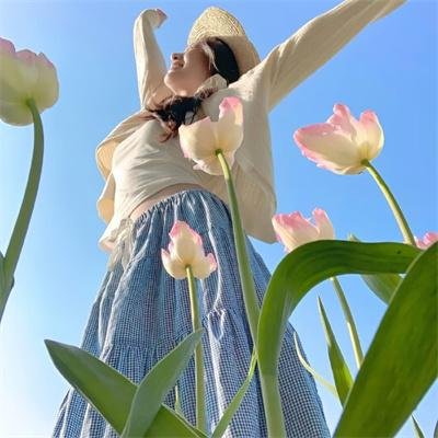 情来.算尽爱